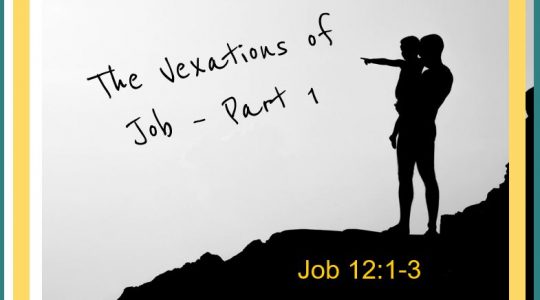 The Vexations of Job - Part I Job  12:1-3