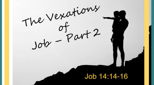 The Vexations of Job - Part 2; Job 14:14-16