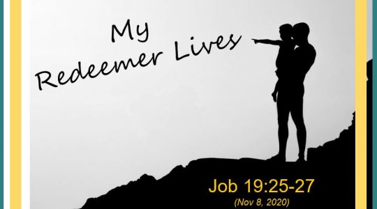 My Redeemer Lives! Job 19:25-27