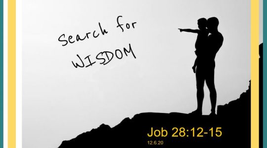 Search for Wisdom - Job 28:12-15