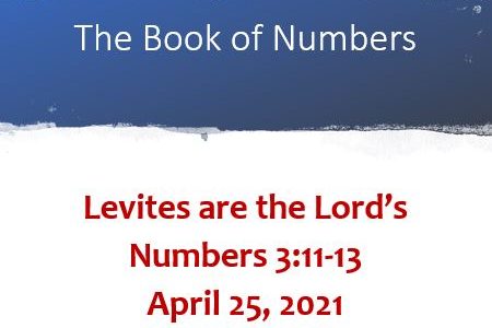 Levites are the Lord's: Numbers 3:11-13