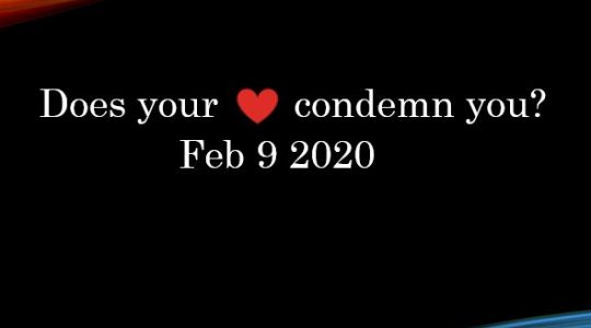 Does Your Heart Condemn You? I John 3:19-21