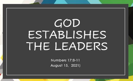 God Establishes the Leaders - Numbers 17:8-11