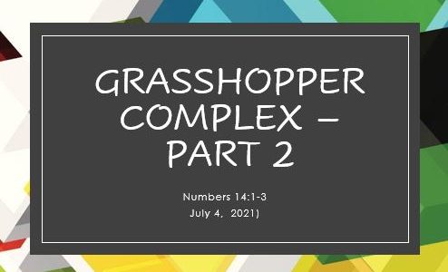 Grasshopper Syndrome - Part 2; Numbers 14:1-3