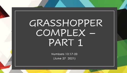 Grasshopper Complex Part 1 - Numbers 13:17-20