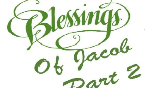 Jacob's Blessings and Curses Part II – Genesis 49: 8-12